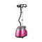Garment Steamer