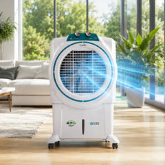 Collection image for: Air Cooler
